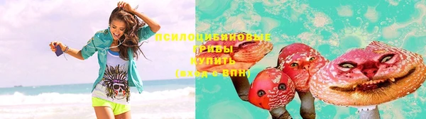 шишки Алексин