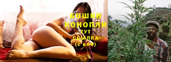 шишки Алексин