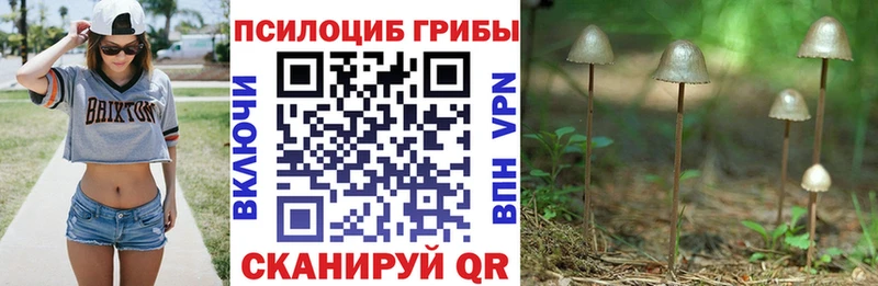 закладка  Нововоронеж  Галлюциногенные грибы ЛСД 